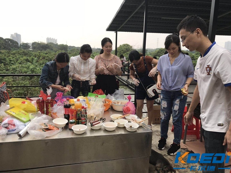 卡尔德拖链电缆