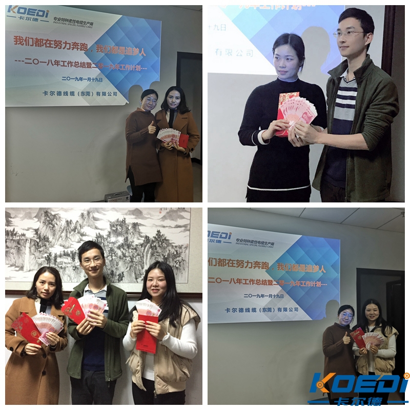 卡尔德拖链电缆